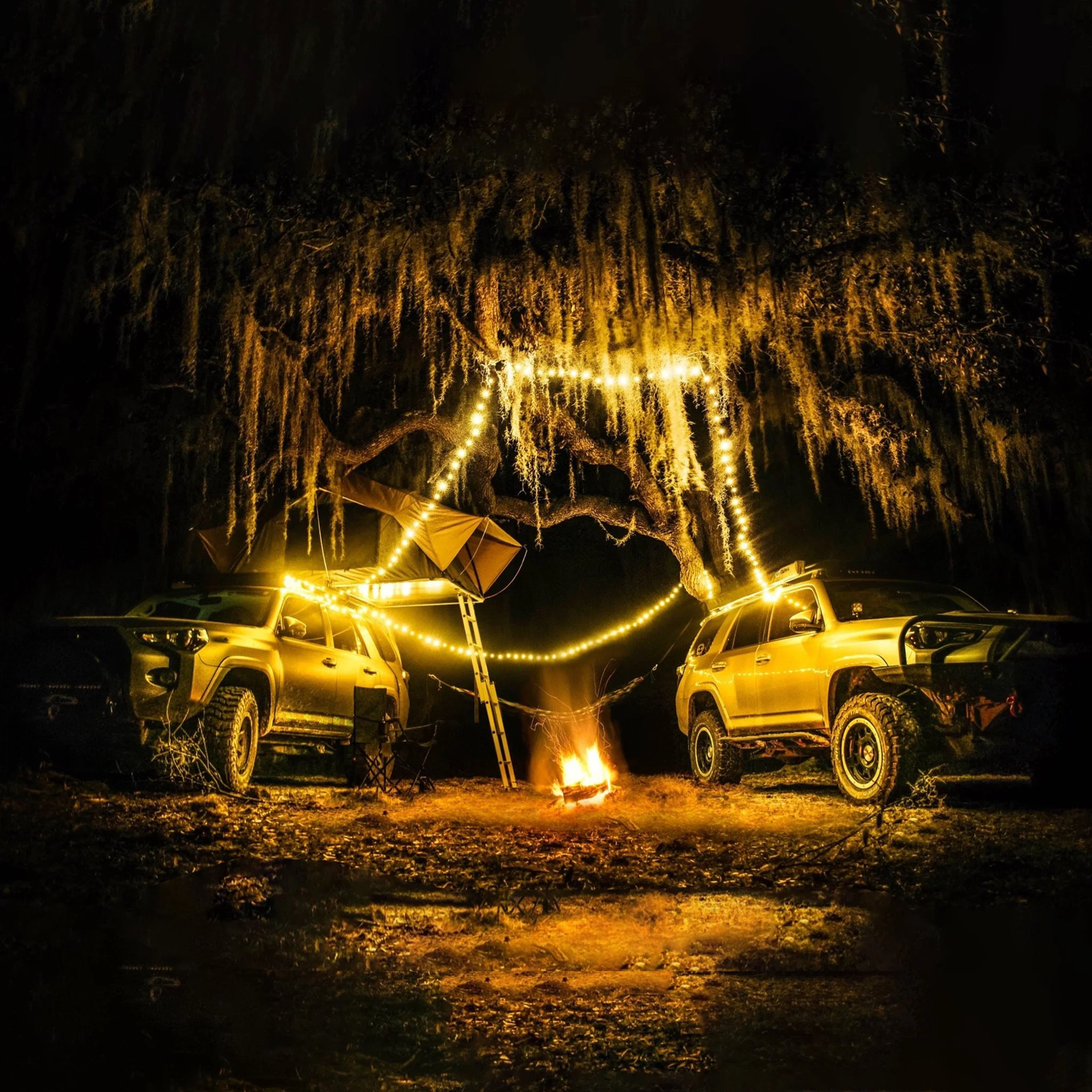 Trail Hound 30 ft Camp String Lights - Image 2
