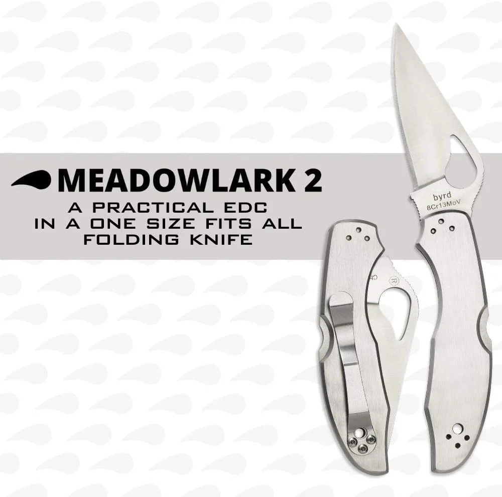 BYRD Meadowlark 2 Stainless Combination Edge - Image 3