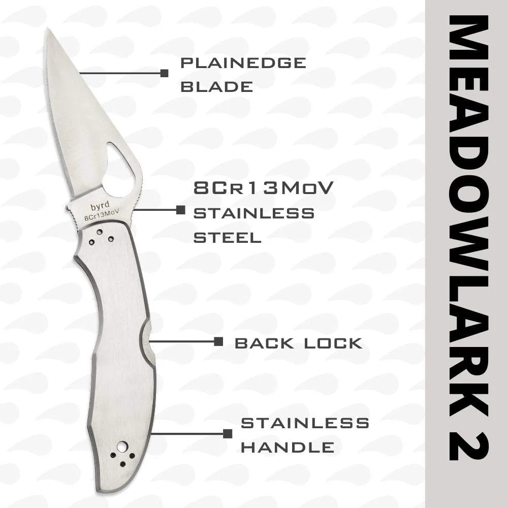 BYRD Meadowlark 2 Stainless Combination Edge - Image 4