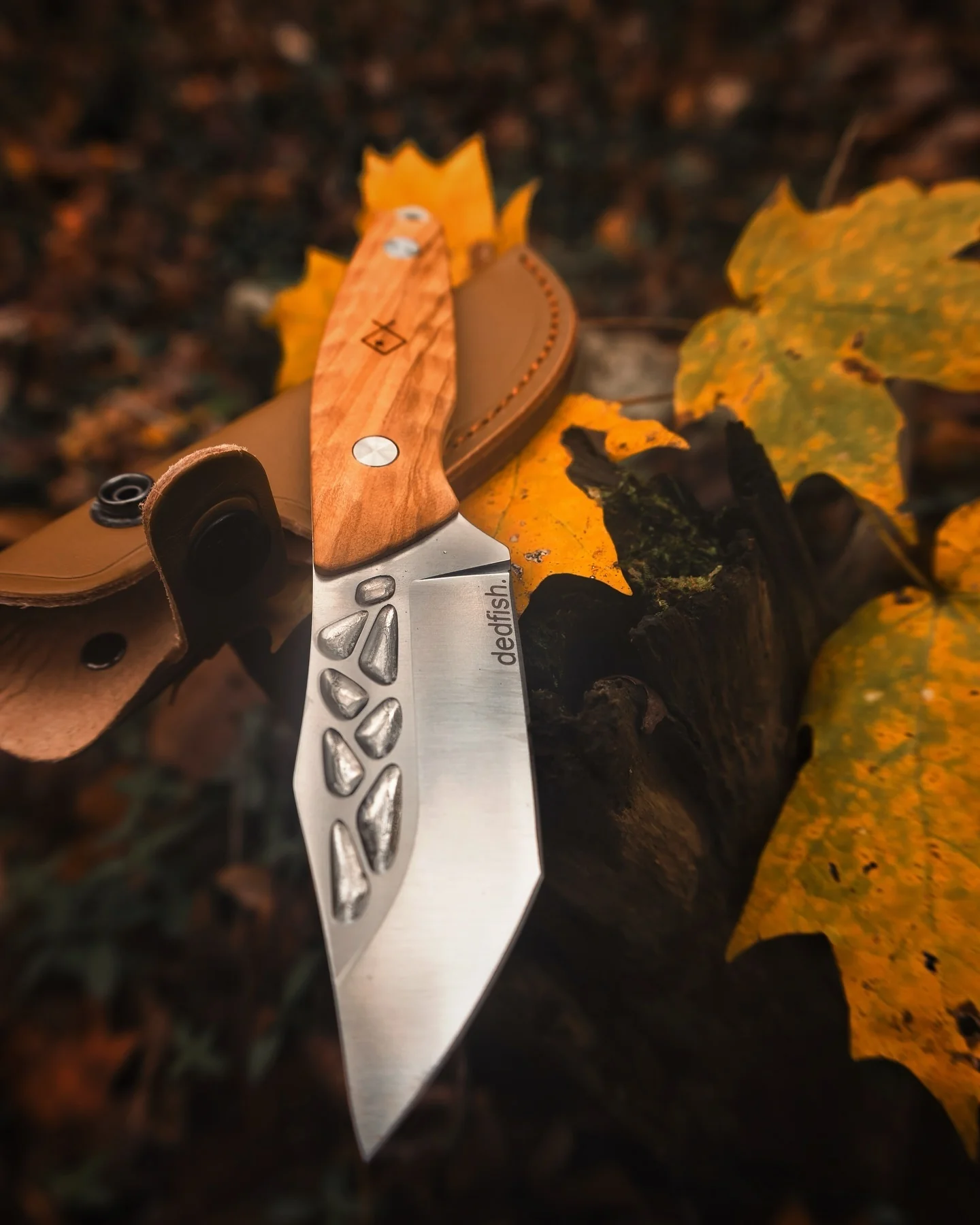 Dedfish Co. McCrea Fixed Blade Knife - Image 13