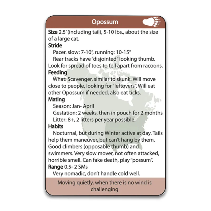 SILVA TRACKING: Animal Tracking Flashcards - Image 4