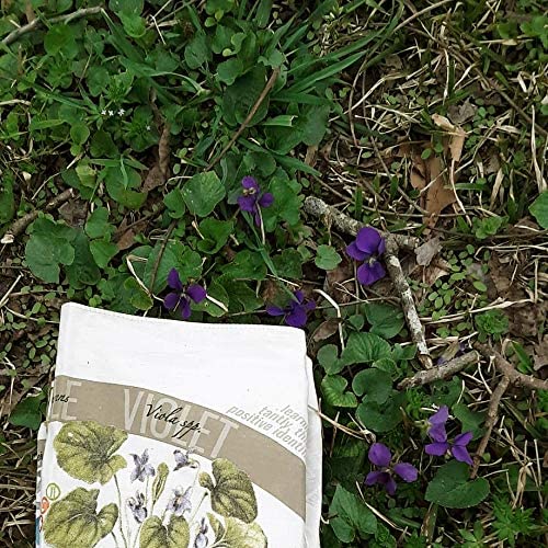 Wazoo Survival Gear Forager Bandana with Pictures and Facts (12 Plants & Fungus) - Image 5